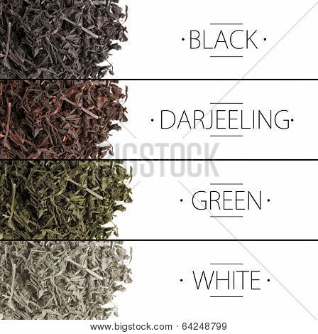 Collage of aromatic dry tea isolated on white