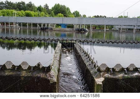 Sewage Treatment Sedimentation. Drinkable Water