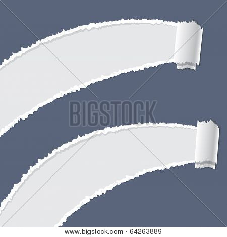 Ripped paper