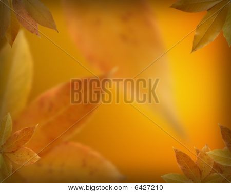 Fall Leaves Background