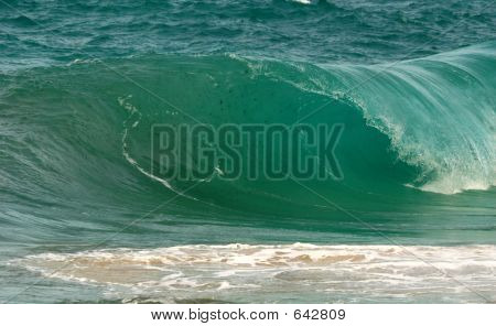 Shorebreak 3