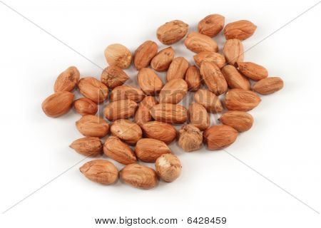 Hazel Nuts