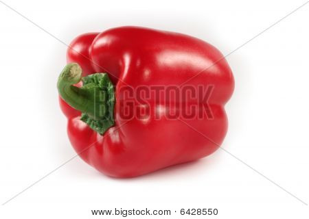 Red Paprika