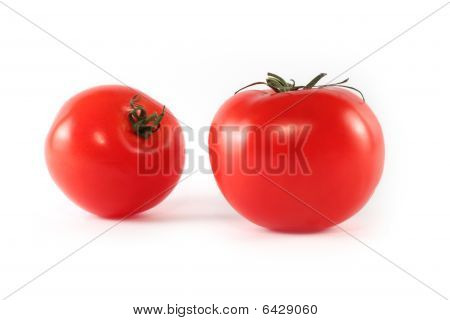 Two Tomatoes Isolated