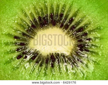 Kiwi Fruit Close-up
