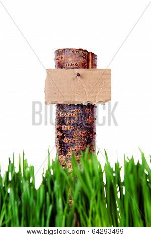 Guide Sign On The Grass