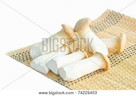 King Oyster Mushrooms.