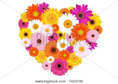 Cuore di margherite colorate