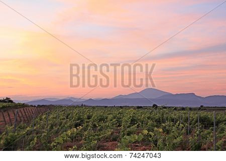 France - Sainte Cécile Les Vignes