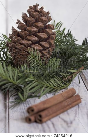 Fir Cone And Needle Branch