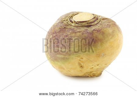 fresh turnip(Brassica rapa rapa) on a white background