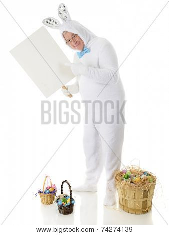 A senior male rabbit pointing to the sign he holds.  It's left blank for your text.  He stands among baskets of colorful Easter eggs.  On a white background.