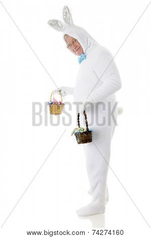 A senior male Easter bunny looking back at the viewer as he's off to deliver two small baskets of goodies.  On a white background.