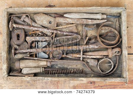Old And Rusty Hand Tool