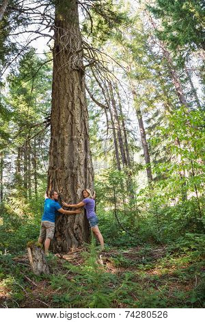 Tree Huggers