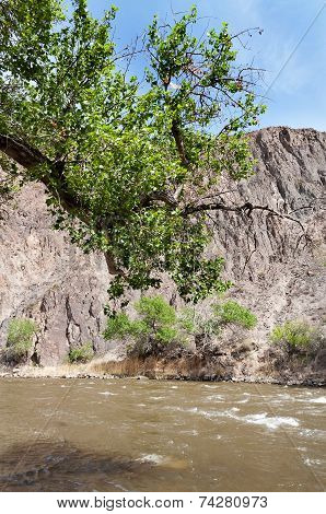 Sharyn River. Kazakhstan