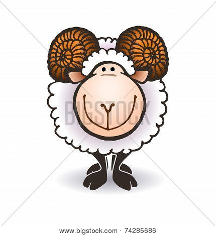sheep with big horns