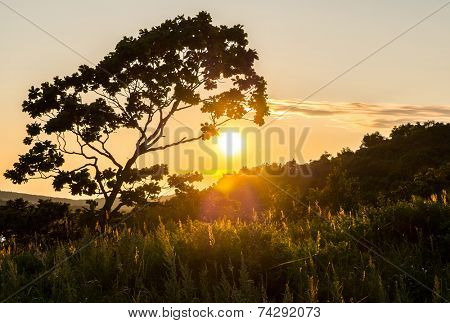 sunset view of russian isle Putyatin 