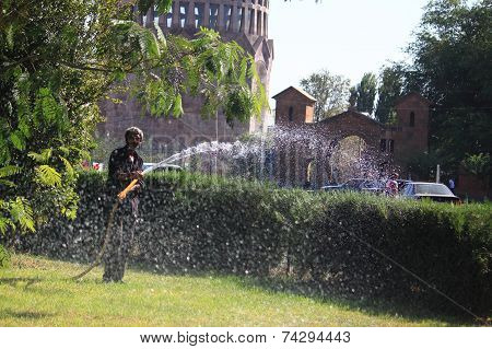 street gardener in Armenia
