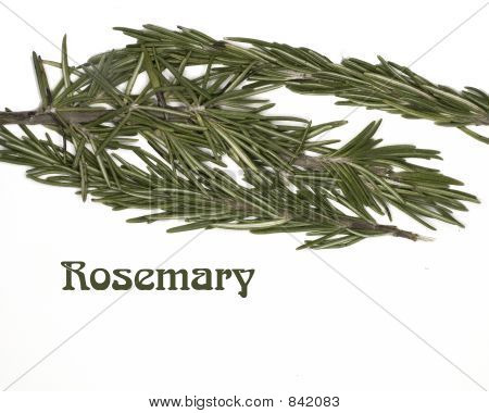 1Rosemary