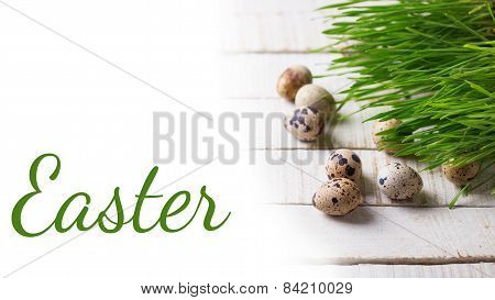 Grass And Eggs