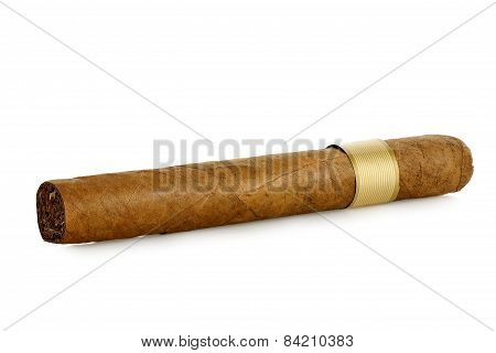 Cigar