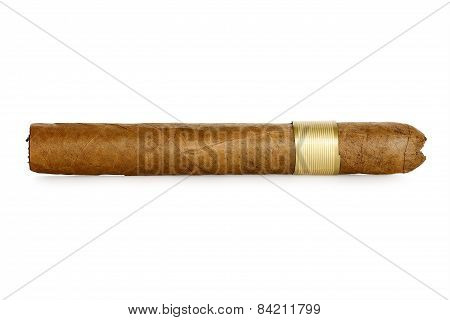 Cigar