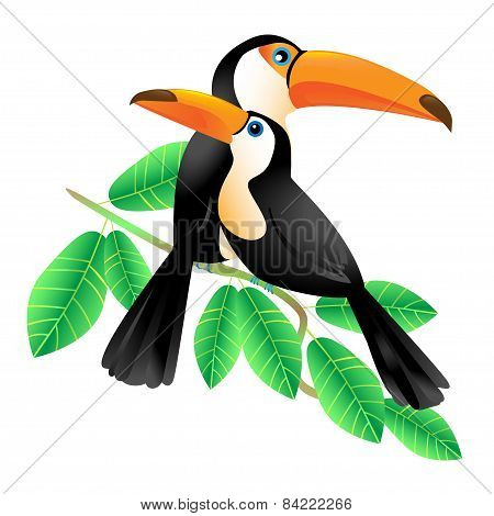 Two Toucans Sitting On A Branch