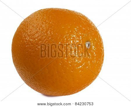 Orange On A White Background.