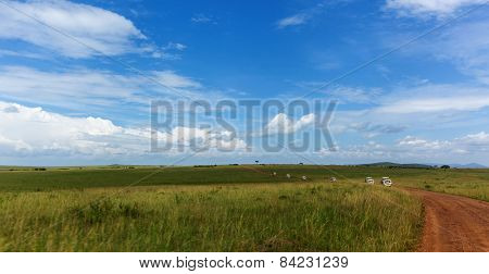 Tour, Sightseeing Cars, People, Landscape, Nature Reserve, Wild Animals,