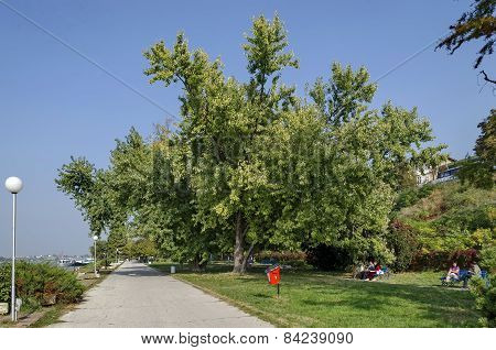 Riverside park in Ruse town along river Danube