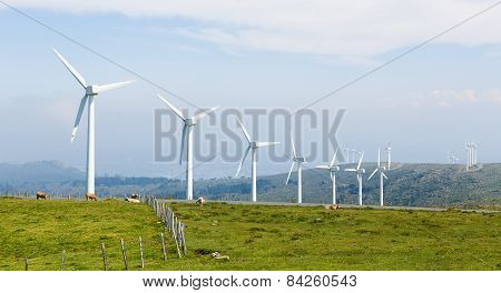 Wind Turbines On A Wind Farm In Galicia, Spain