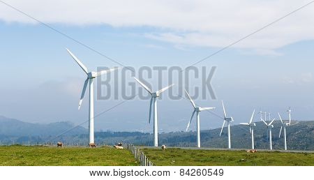 Wind Turbines On A Wind Farm In Galicia, Spain