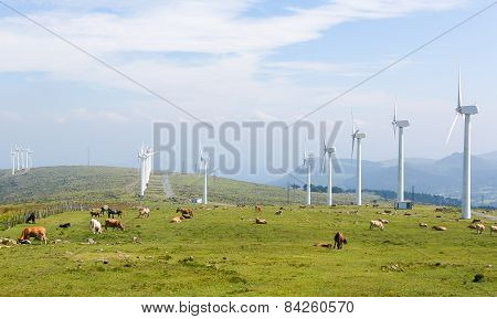 Wind Turbines On A Wind Farm In Galicia, Spain