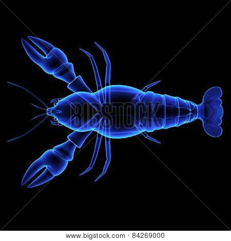 Astacus