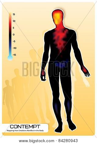 Mapping How Emotions Manifest in the Body.