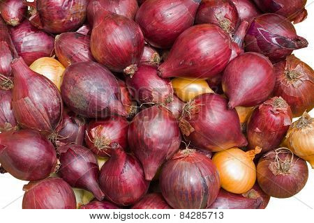 Onion