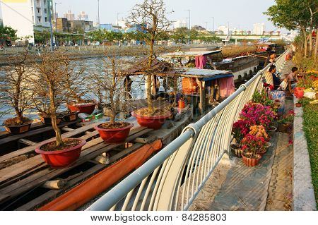 Boat, Spring Flower, Vietnam Tet