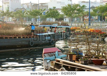 Boat, Spring Flower, Vietnam Tet