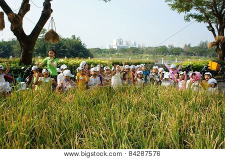 Asian Kid, Outdoor Activity, Vietnamese Preschool Children