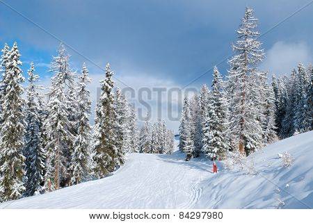 Beautiful winter landscape with fir trees, Les Arc, France