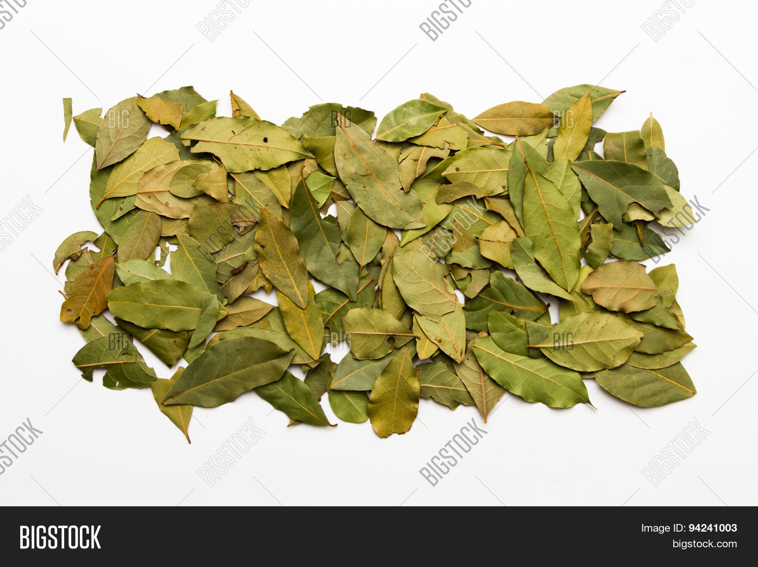 Bay Leaves Spices Herb Image & Photo (Free Trial) Bigstock