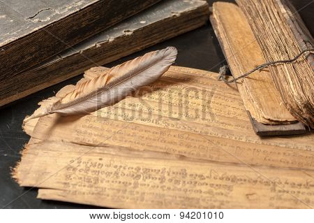 Ancient Treatise With Bird Feather