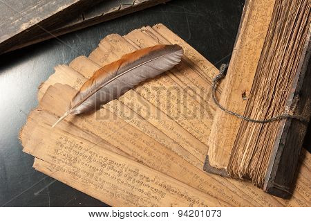Ancient Treatise With Bird Feather