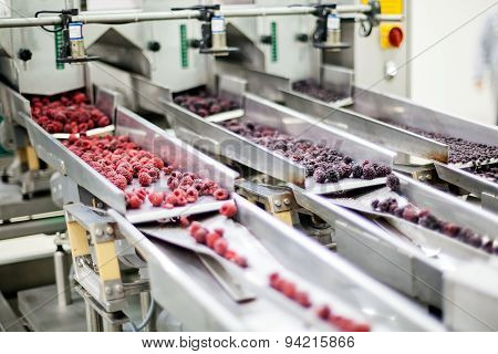 Frozen Raspberry Processing Business