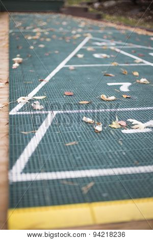 Shuffleboard