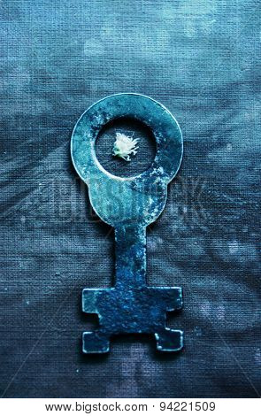 The key with white flower