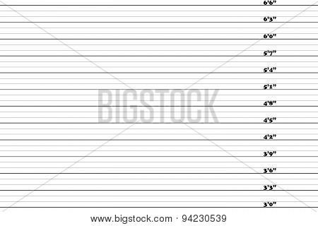 Police Mugshot background