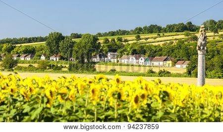 wine cellars with sunflower field, Immendorf, Lower Austria, Austria