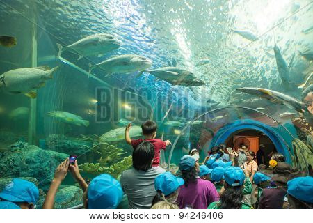 Rayong, THAILAND - MARCH 20:  Tourists at the Aquatic tunnel in the Rayong Aquarium, Thailand, on March 20